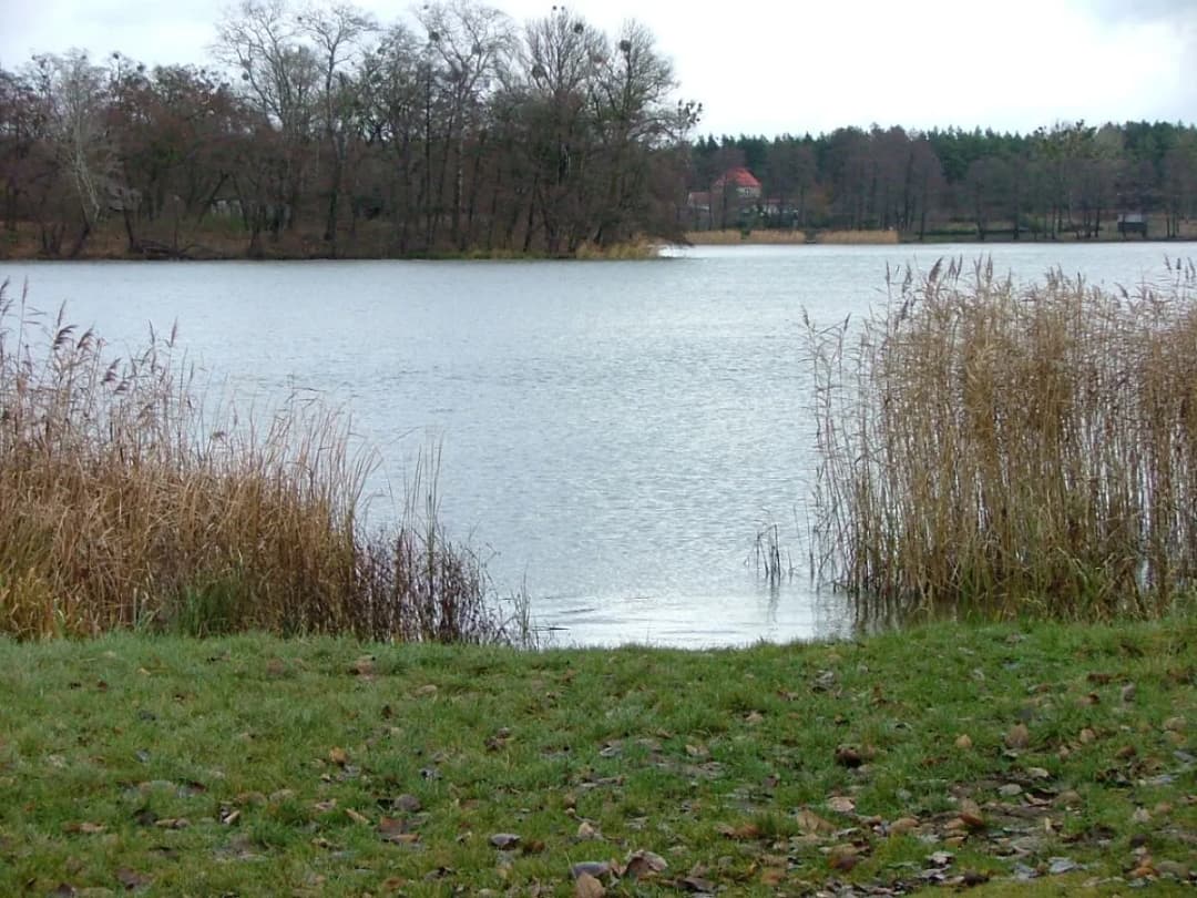 Jezioro Raczyńskie: atrakcje, wędkowanie, noclegi i tajemnice przyrody