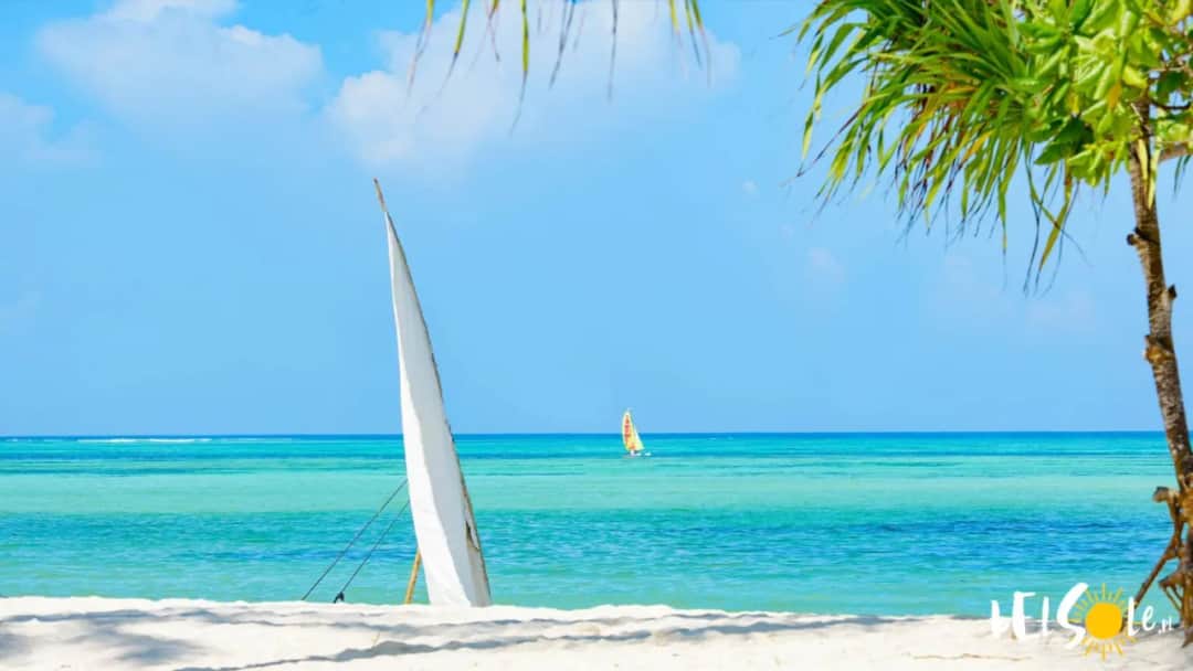 Jaka waluta na Zanzibarze? Sprawdź, czego unikać i co wiedzieć