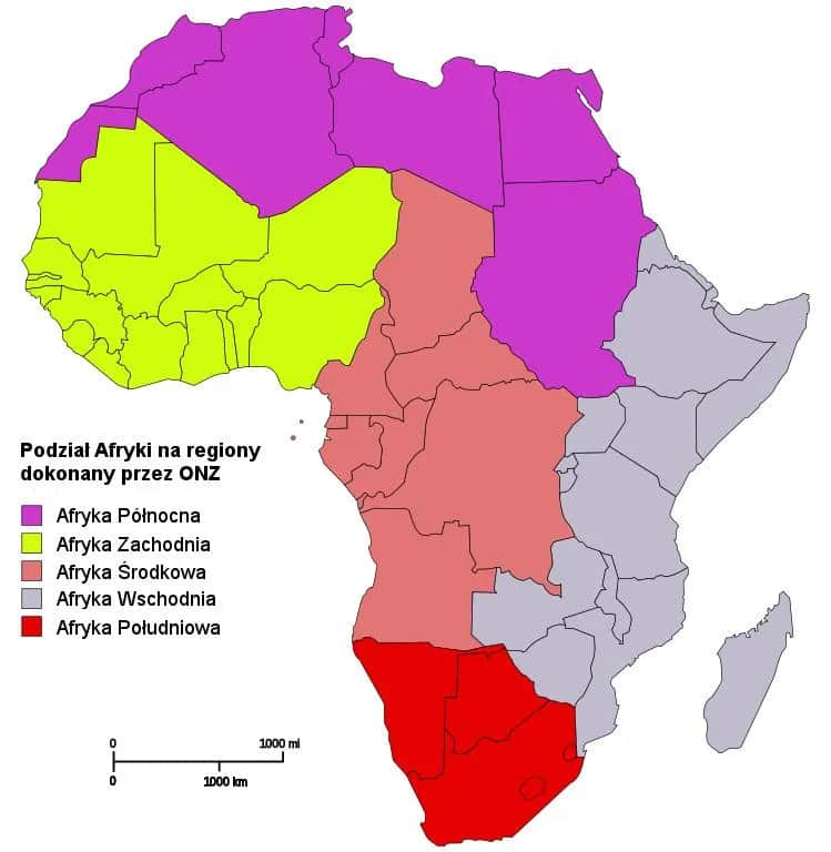 Ile ludzi mieszka w Afryce? Aktualne dane i zaskakujące trendy demograficzne